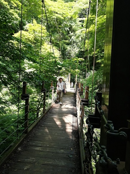 f0176540_13375940.jpeg