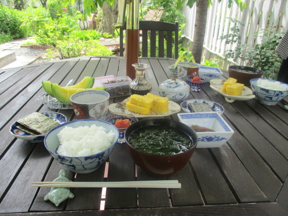 お庭の様子 今年初めてのお庭ご飯 Machiのきままな生活記録 お庭の様子 今年初めてのお庭ご飯 Machiのきままな生活記録