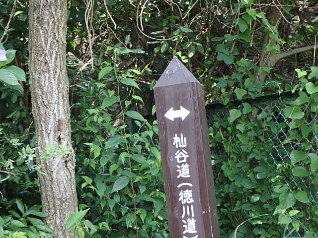 f0334143_21411114.jpg
