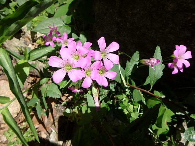 f0334143_21412598.jpg