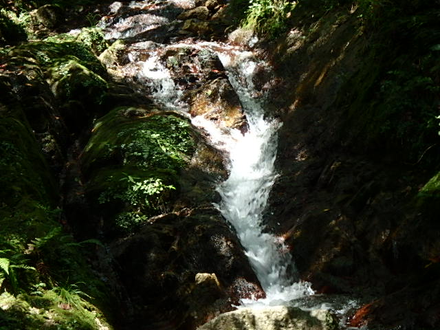 f0334143_21442575.jpg