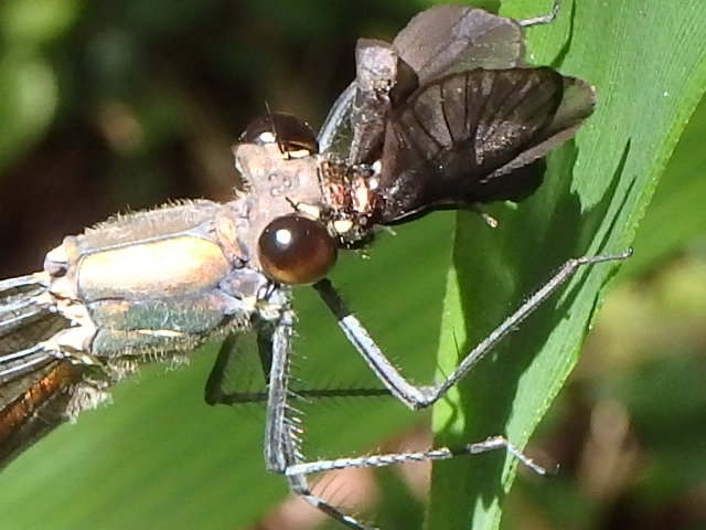 f0334143_214518.jpg