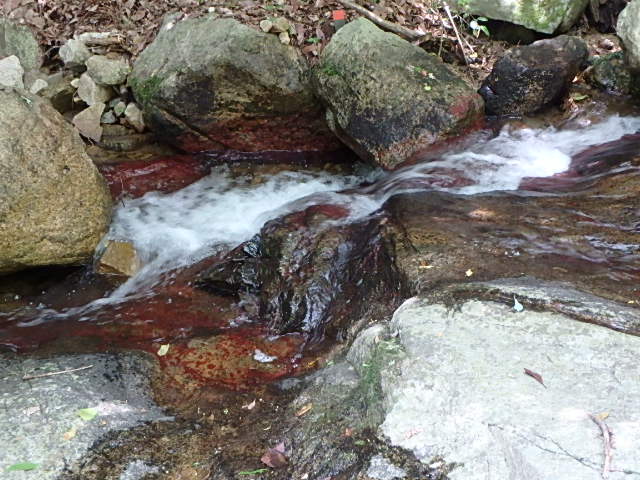 f0334143_21464829.jpg