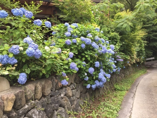 高麗散歩_c0331145_21433945.jpg