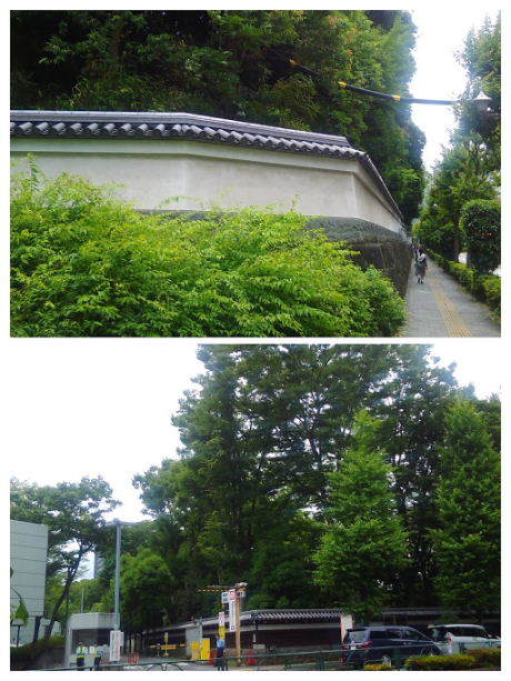 d0063149_17515243.jpg