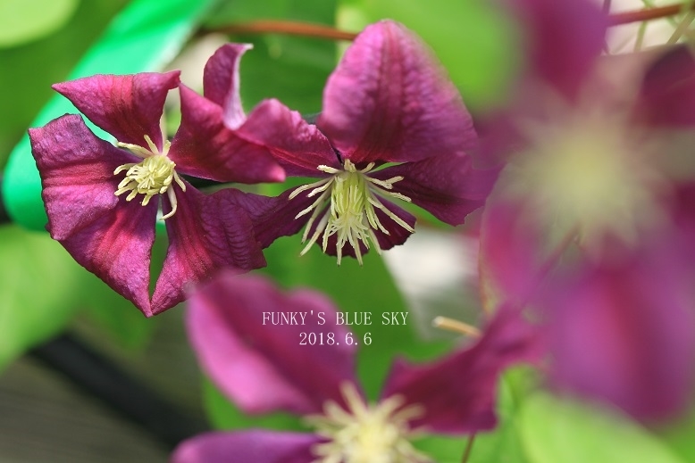c0145250_10095297.jpg