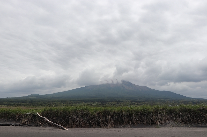 b0250154_07332789.jpg