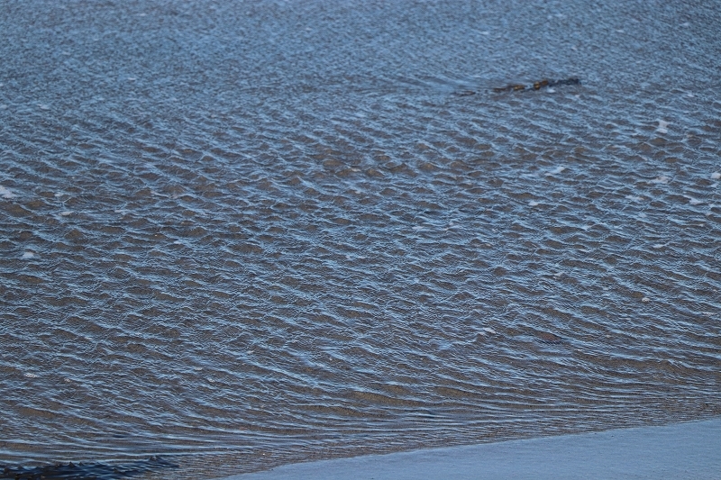 b0250154_20145076.jpg