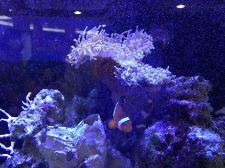 a0346455_06124334.jpeg