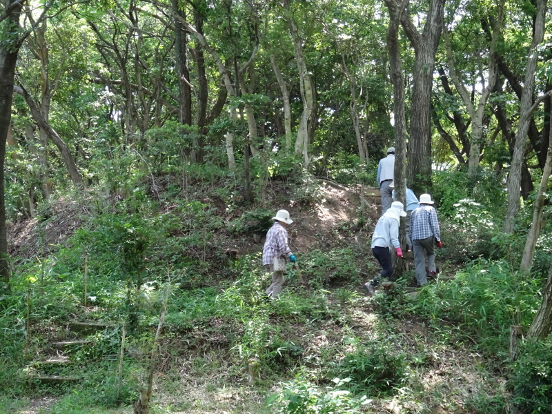 うみ森通路周辺草刈り＆小枝鉛筆ペンダント部品作り・・・うみべの森_c0108460_21580778.jpg