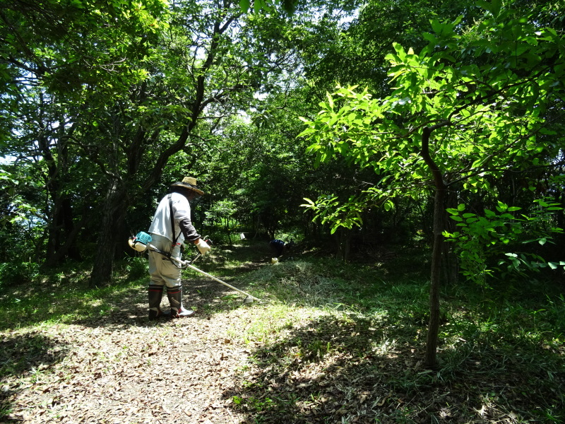 c0108460_21590977.jpg