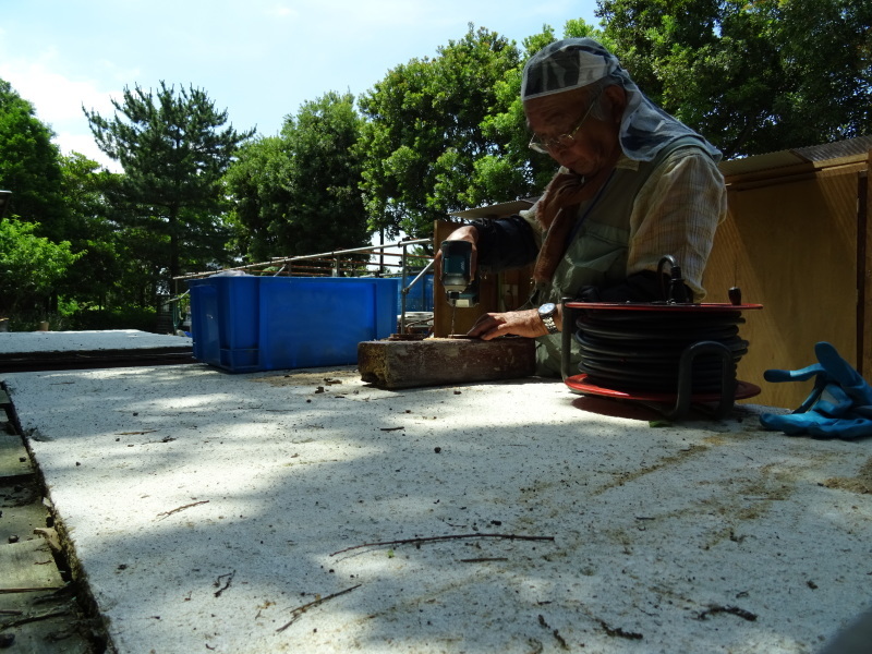 c0108460_22020011.jpg