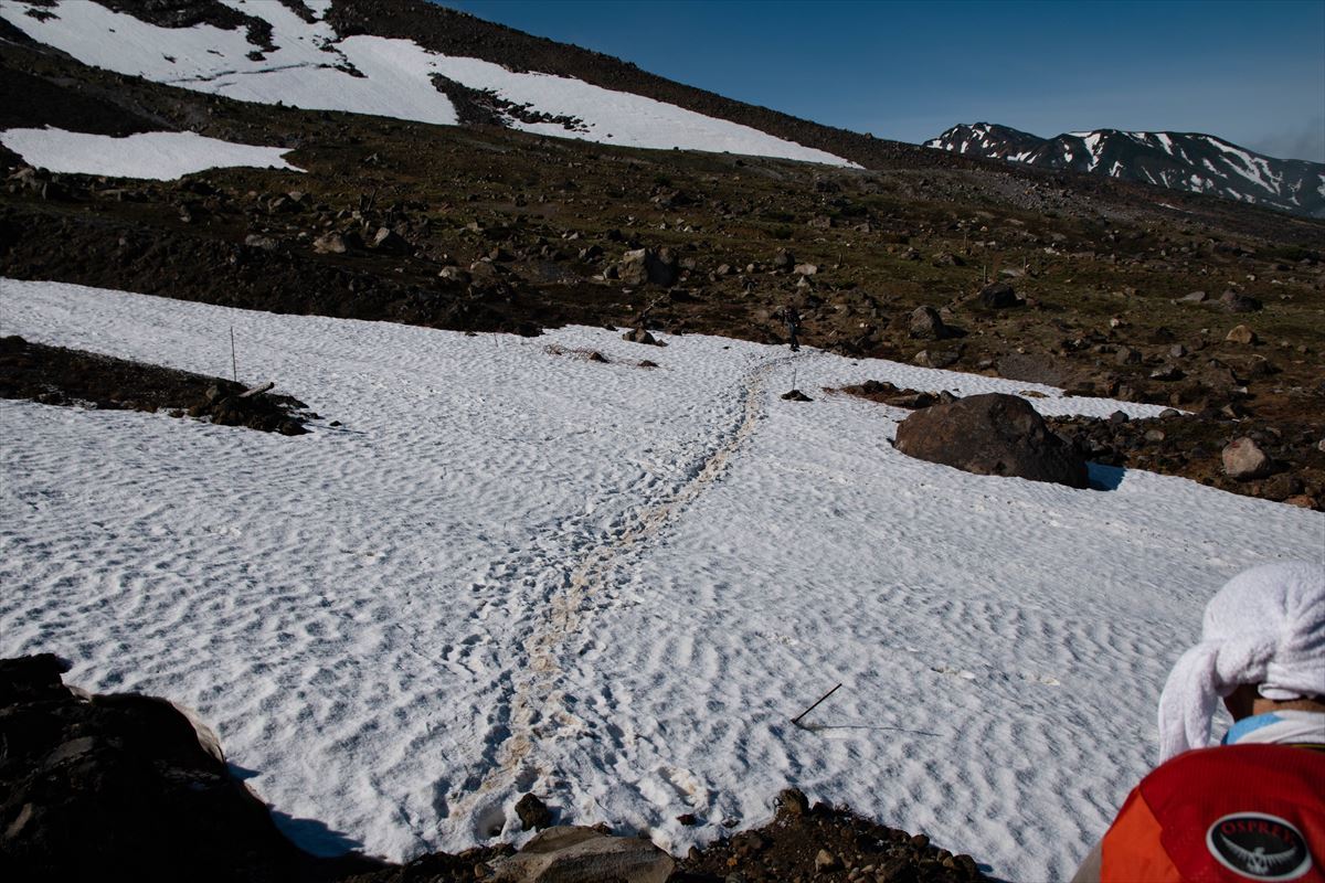 b0281366_19514227.jpg