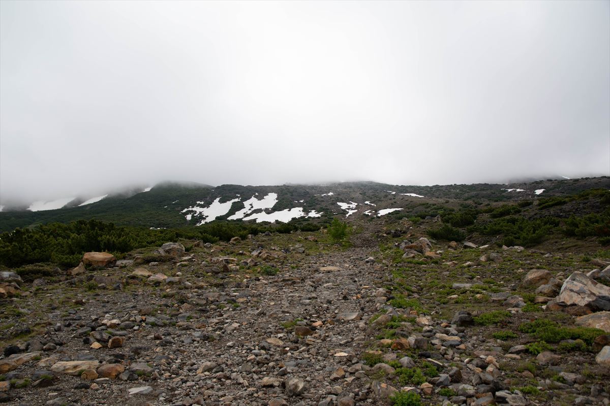 b0281366_19520811.jpg