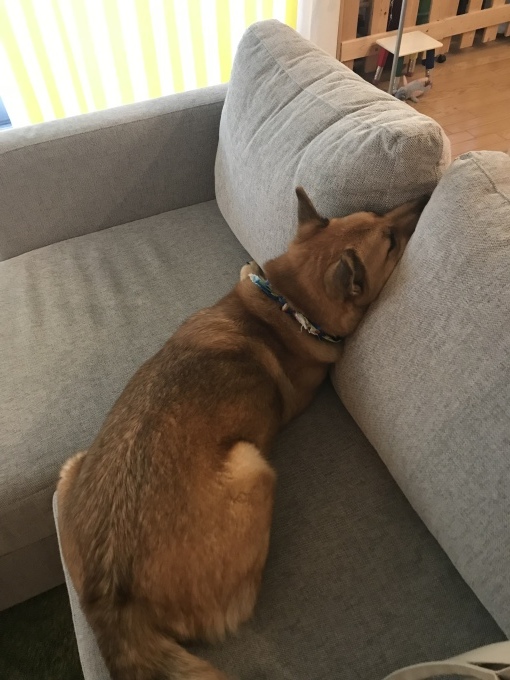 c0364176_22533155.jpeg