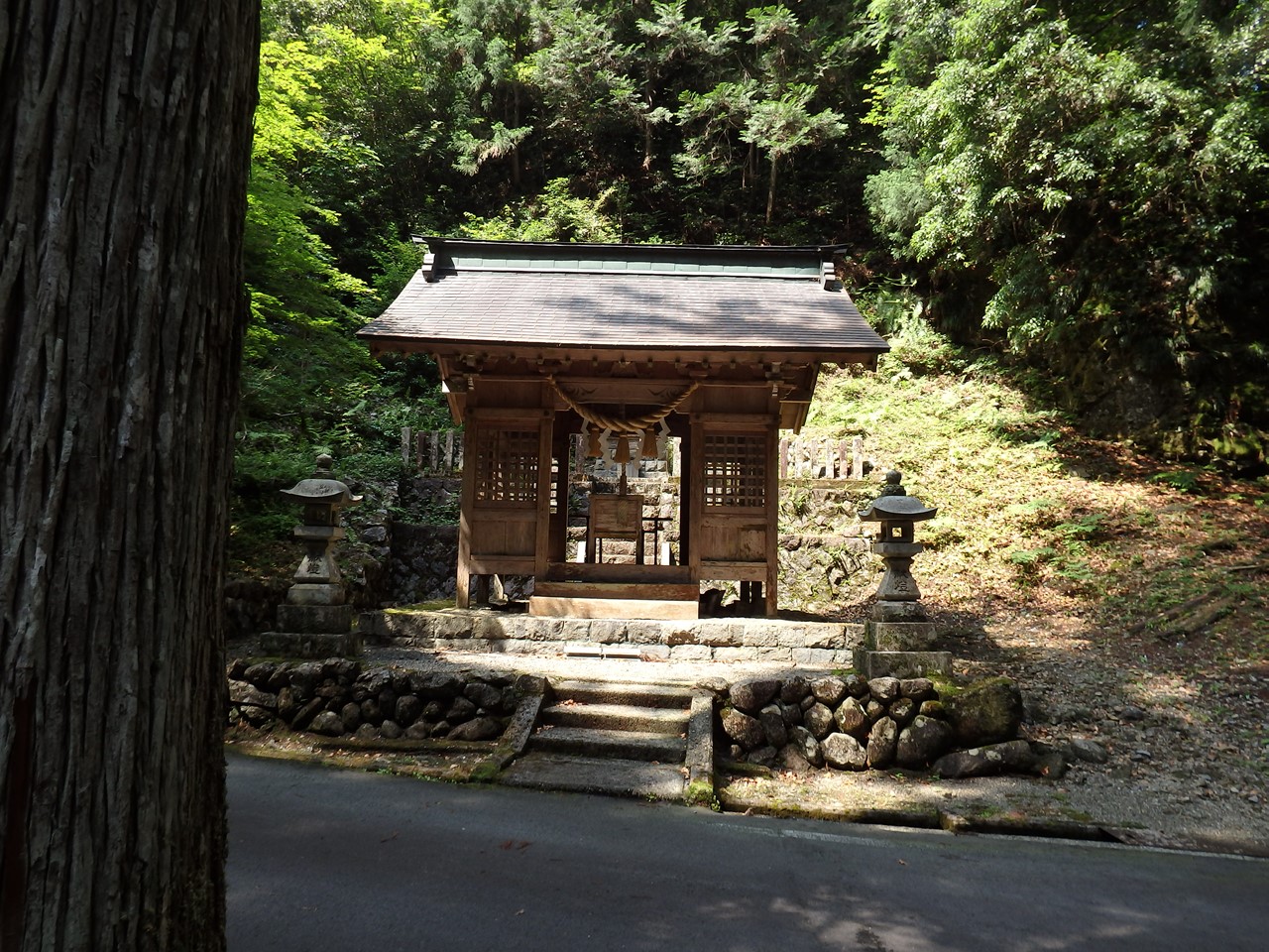 『粥川の流れと矢納ヶ渕の滝と植物達･･･』_d0054276_20313380.jpg