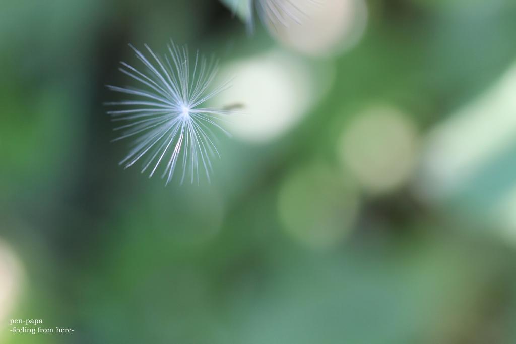 そこへ_c0356480_14591851.jpg