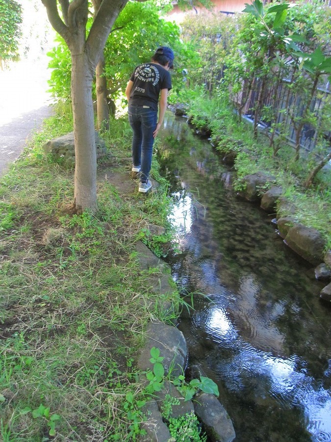 e0374581_16115003.jpg