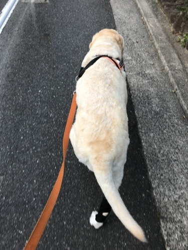 f0315081_22111914.jpeg