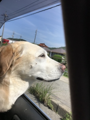 f0315081_22181027.jpeg