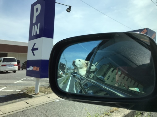 f0315081_22185320.jpeg