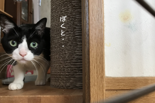 a0216583_12233443.png