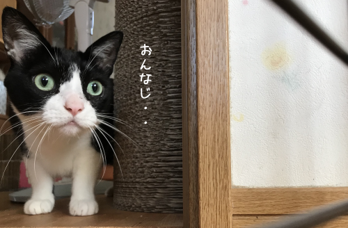 a0216583_12233890.png