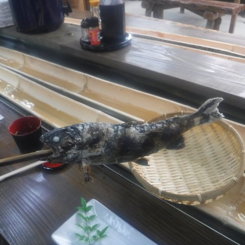 高千穂峡_d0195183_12445216.jpeg