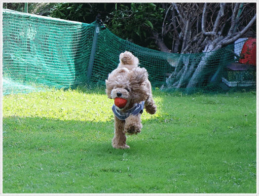 b0175688_01481913.gif