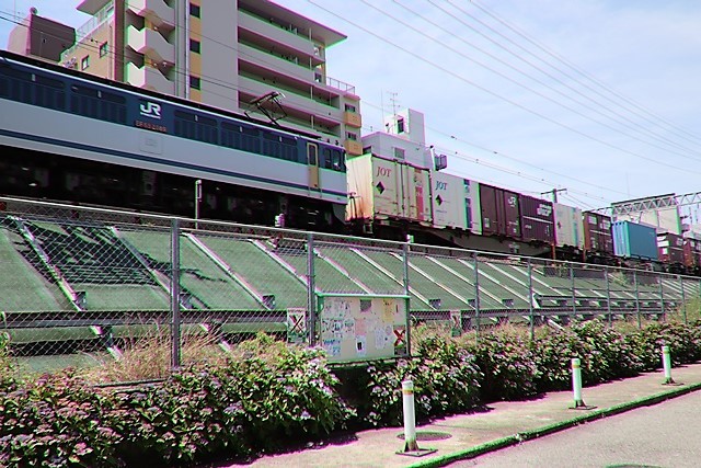 d0181492_15061813.jpg