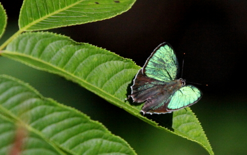 b0331096_18424813.jpg