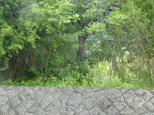 c0108198_15504549.jpg