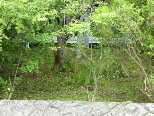 c0108198_15510492.jpg