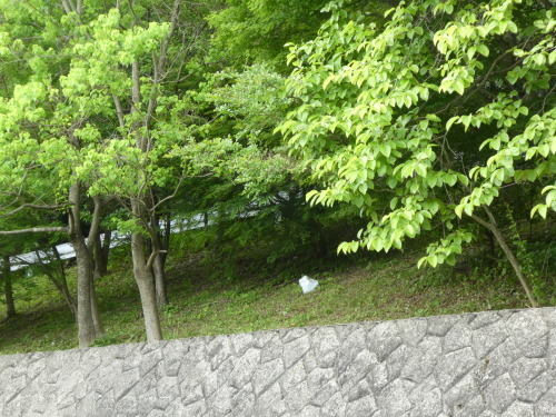 c0108198_15511647.jpg
