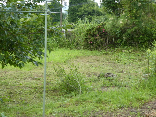 c0108198_15512506.jpg
