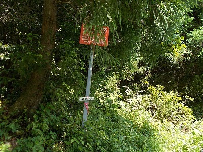 f0308898_12063234.jpg