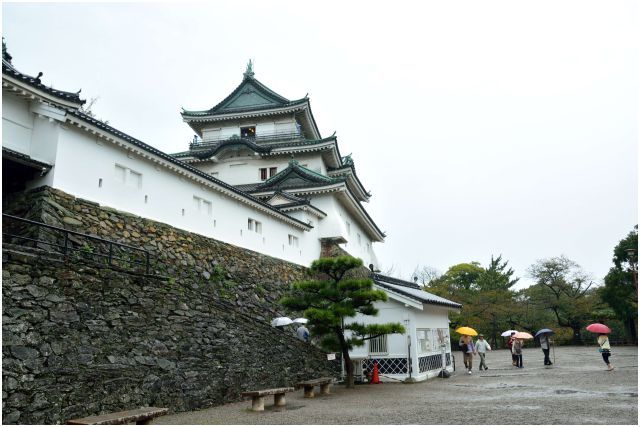 雨の和歌山城_f0373701_21565731.jpg