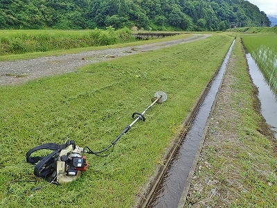 兼業農家は\"草刈りデー\"な一日でした_c0336902_20210083.jpg