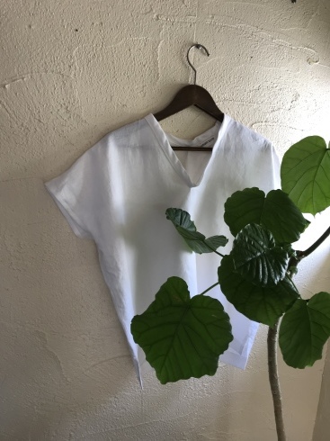 来月のshopのお知らせ_b0018004_10551957.jpeg