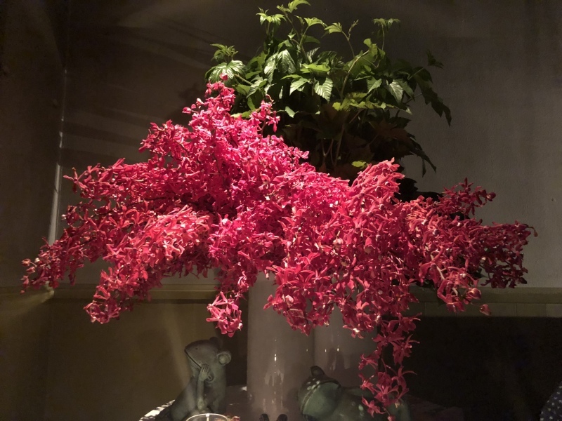 b0293908_23440343.jpeg
