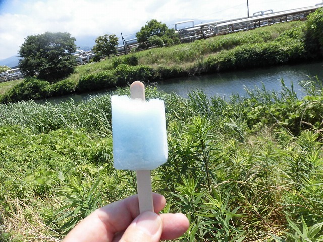 今年最初の滝川の土手普請 草が「みるい」ので、サクサク刈れます!_f0141310_08120308.jpg
