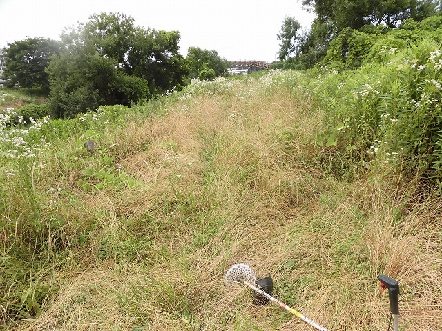 今年最初の滝川の土手普請 草が「みるい」ので、サクサク刈れます!_f0141310_08125494.jpg