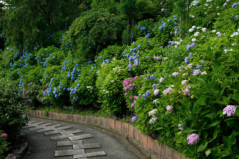 f0032011_20260885.jpg