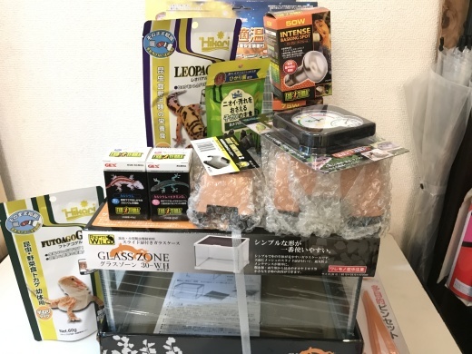 e0254814_14340254.jpeg