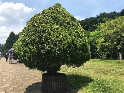 e0373815_14074432.jpg
