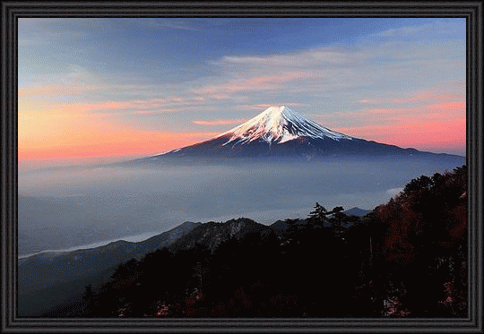 c0072816_12415500.gif
