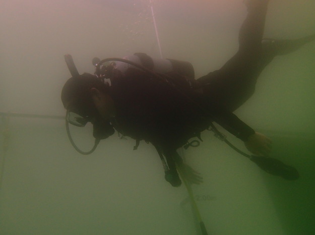 c0115421_20244327.jpg