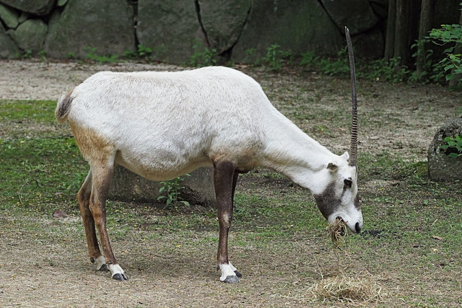 f0224624_05531171.jpg