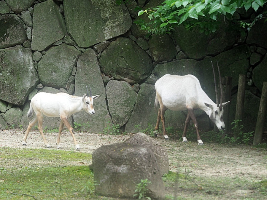 f0224624_05550928.jpg