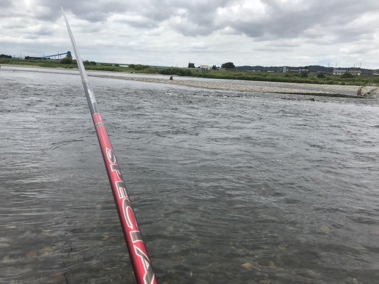 d0172227_05192415.jpeg